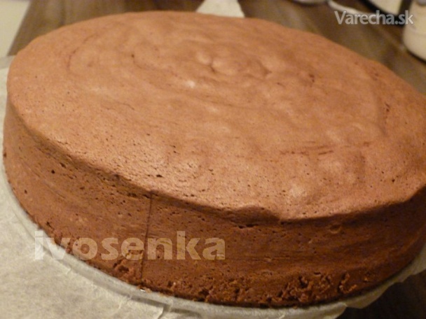 Kakaový olejový korpus na tortu (fotorecept) recept