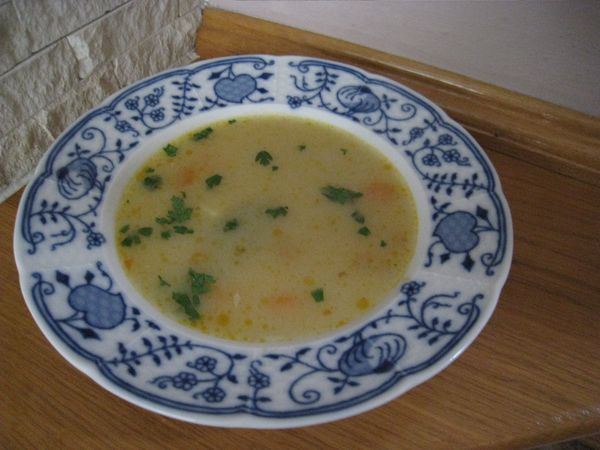 Kyslá zeleninová polievka