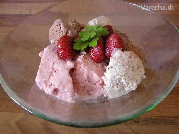 Jogurtová zmrzlina a la Mischa (fotorecept)