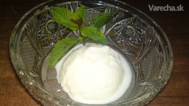 Jogurtová citrónová zmrzlina (fotorecept)